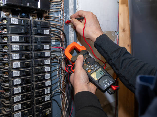 Best Electrical System Inspection  in Zebulon, GA